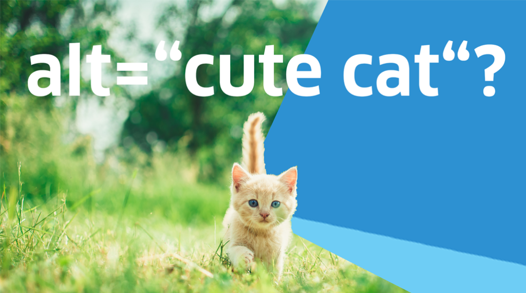 Babykatze läuft auf einer Wiese. Dazu Text alt="cute cat"?